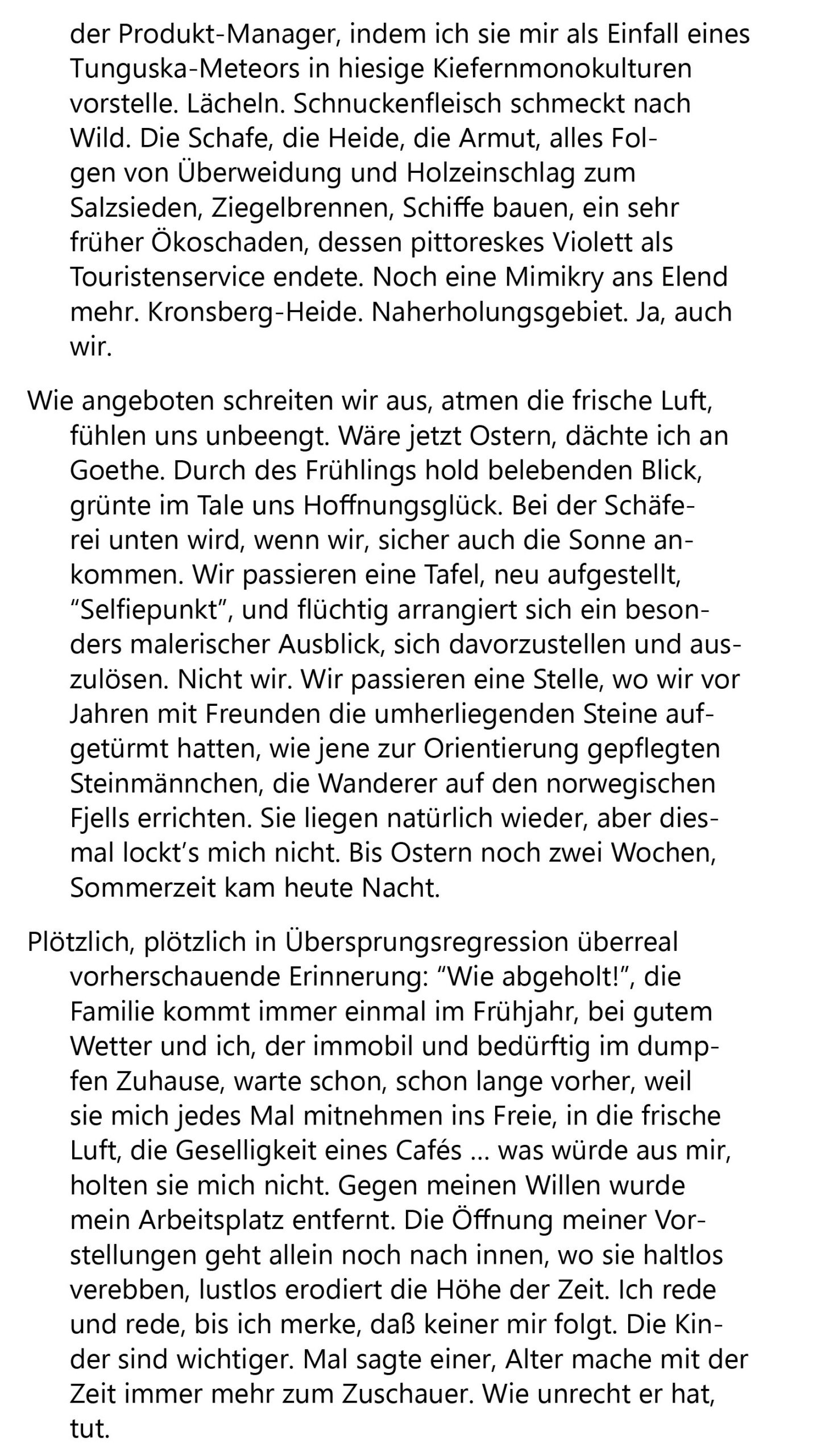 Heidschnucken 2