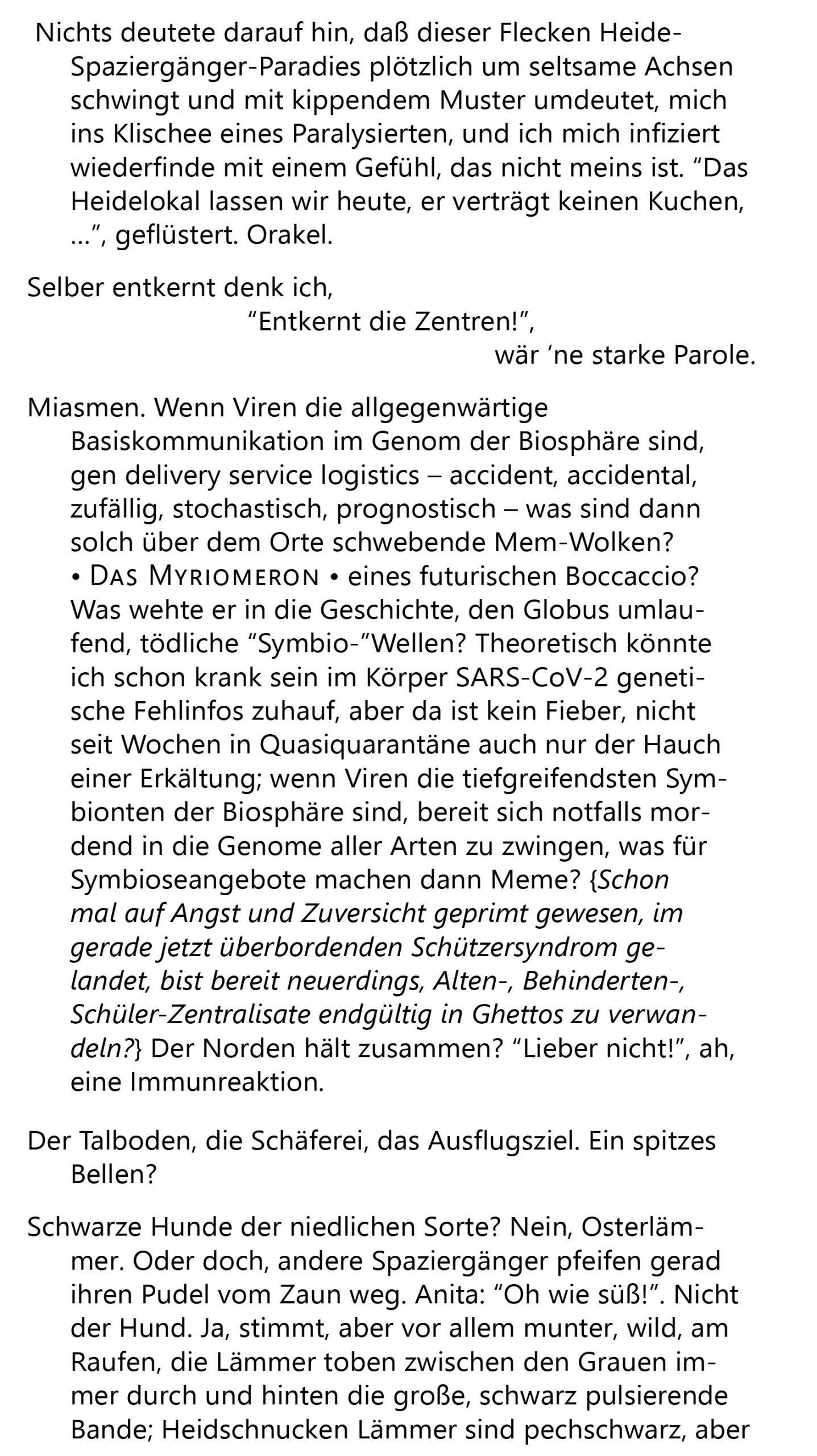 Heidschnucken 3