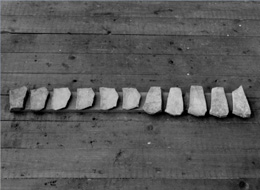 Carl Vetter, STEIN – ZEIT