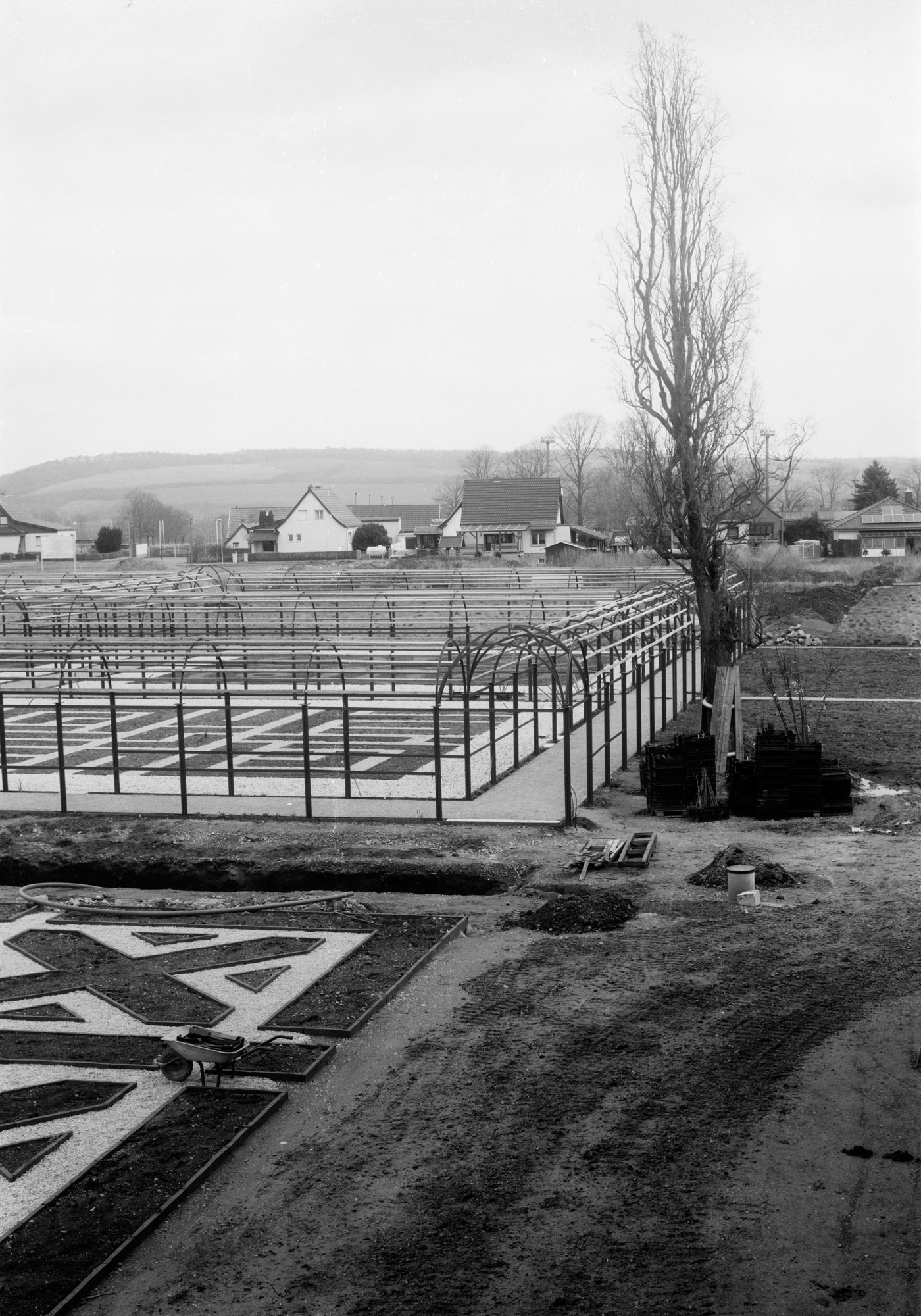 Frühling 2020 _19 Dietrich Oltmanns