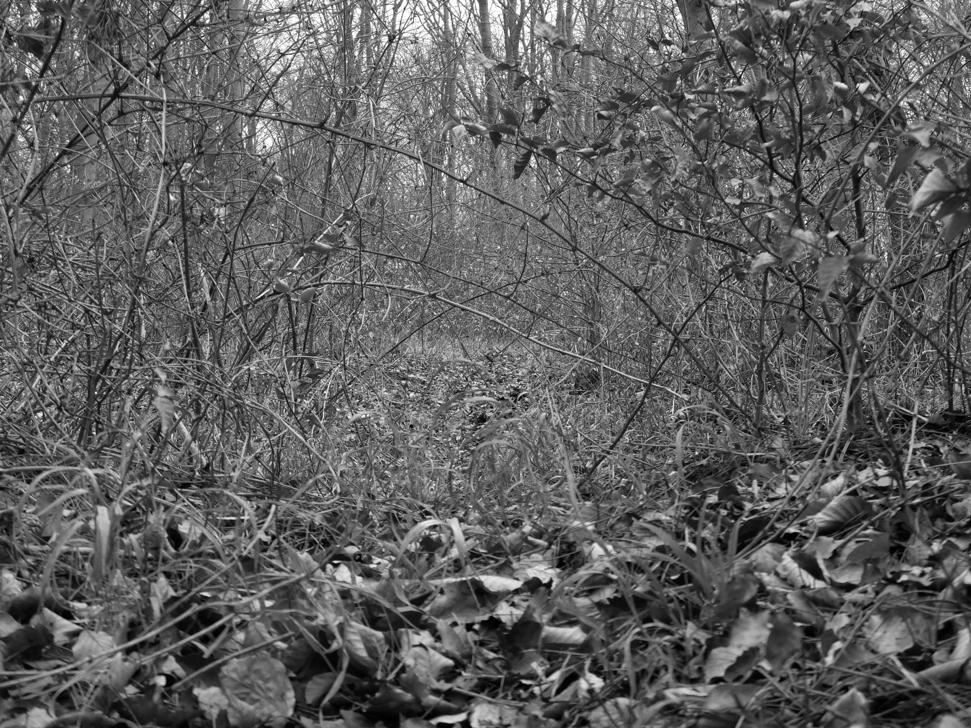 Kunstschaufenster 02