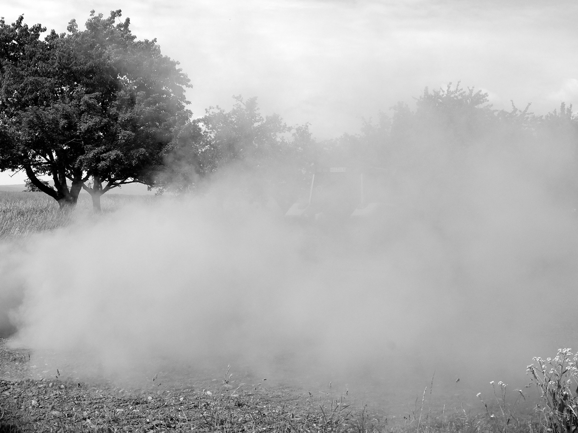 Frühling 2020 _26 Wieland Krause