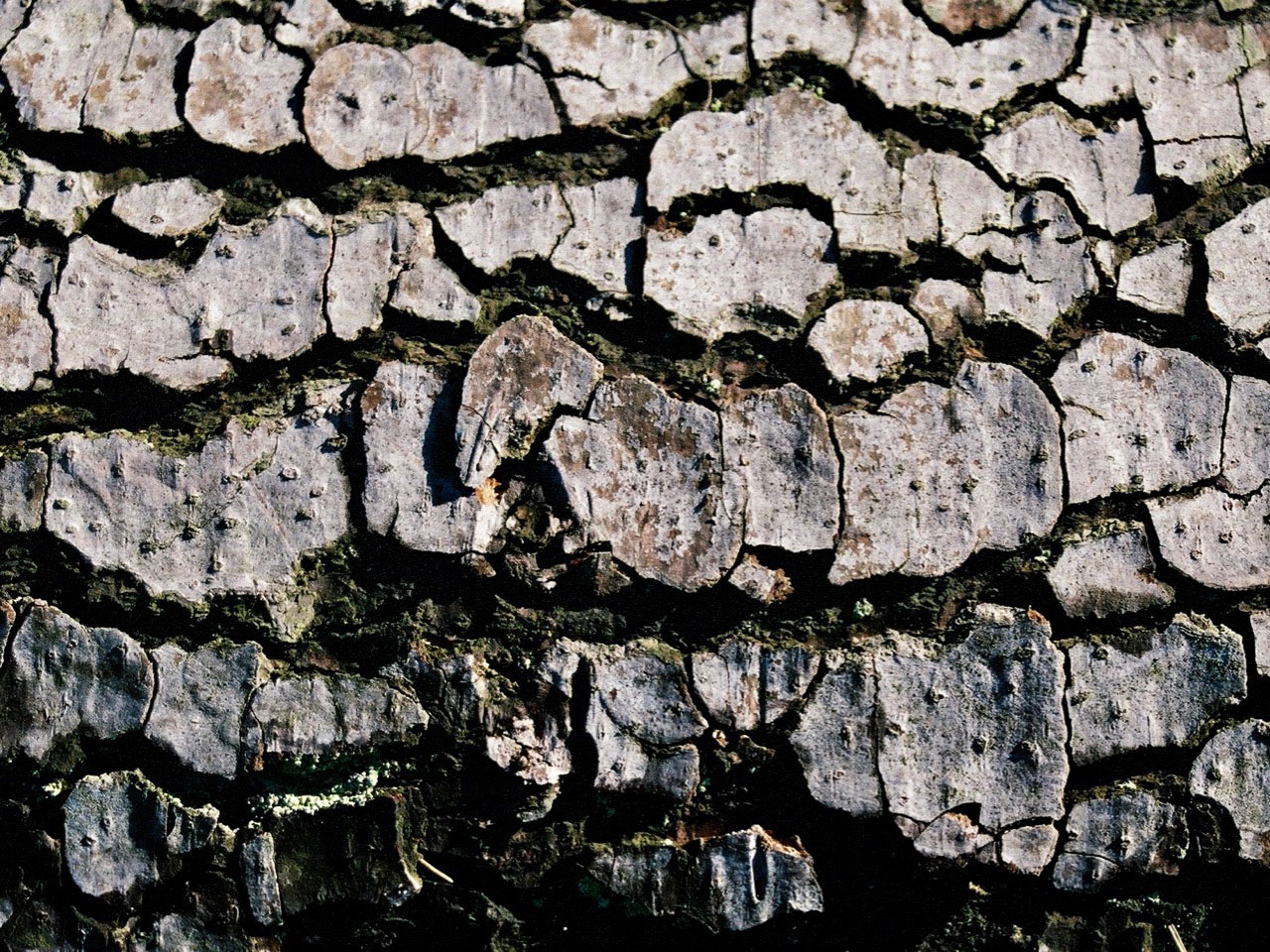 Lasse-Marc Riek – KlangKompassKannawurf 2